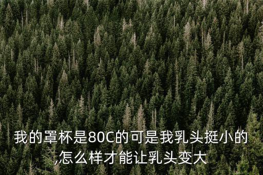 我的罩杯是80C的可是我乳頭挺小的,怎么樣才能讓乳頭變大