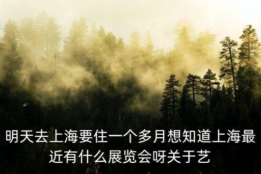 明天去上海要住一個(gè)多月想知道上海最近有什么展覽會(huì)呀關(guān)于藝