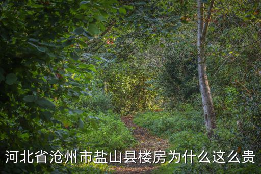 河北省滄州市鹽山縣樓房為什么這么貴
