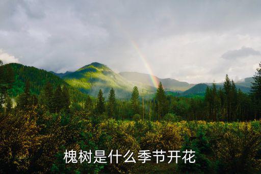 槐樹(shù)是什么季節(jié)開(kāi)花