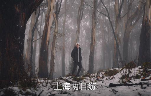 上海兩日游旅游攻略，上海二日游最佳路線及乘車方式