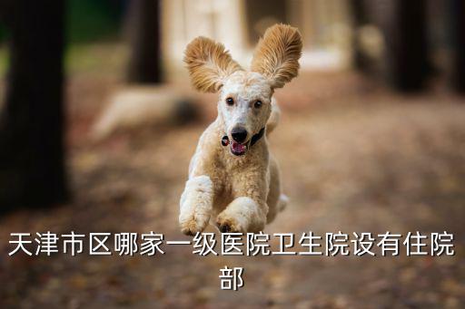 天津市區哪家一級醫院衛生院設有住院部