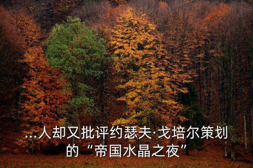 ...人卻又批評約瑟夫·戈培爾策劃的“帝國水晶之夜”