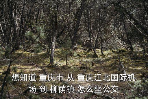 想知道 重慶市 從 重慶江北國際機場 到 柳蔭鎮 怎么坐公交