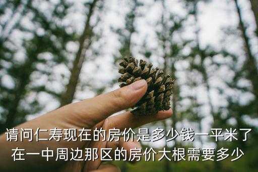 請問仁壽現(xiàn)在的房價是多少錢一平米了在一中周邊那區(qū)的房價大根需要多少