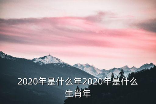 2020年是什么年2020年是什么生肖年