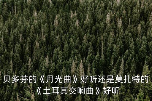 貝多芬的《月光曲》好聽還是莫扎特的《土耳其交響曲》好聽