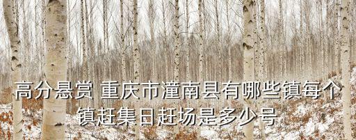 重慶市龍形鎮是哪個縣，重慶市潼南縣龍形鎮的鄉村公路是不是水泥路