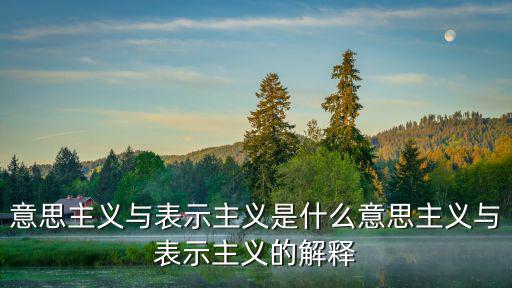 意思主義與表示主義是什么意思主義與表示主義的解釋