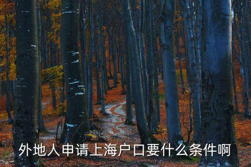 外地人申請上海戶口要什么條件啊