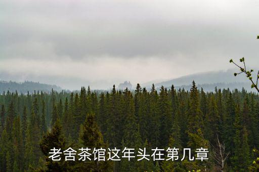 老舍茶館,小說《茶館》被譽(yù)為東方戲劇舞臺的奇跡