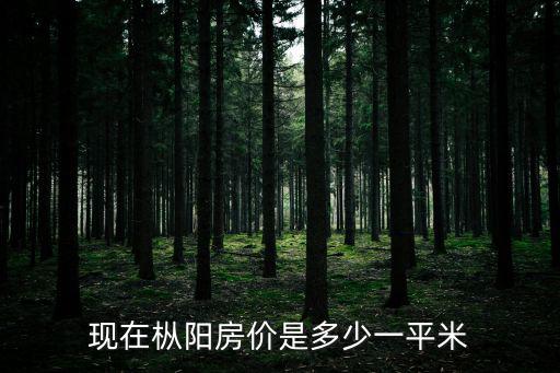 現在樅陽房價是多少一平米
