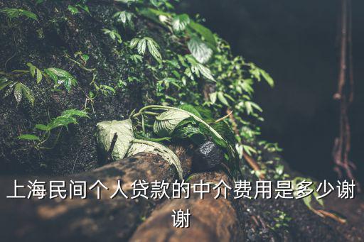 上海民間個人貸款的中介費用是多少謝謝