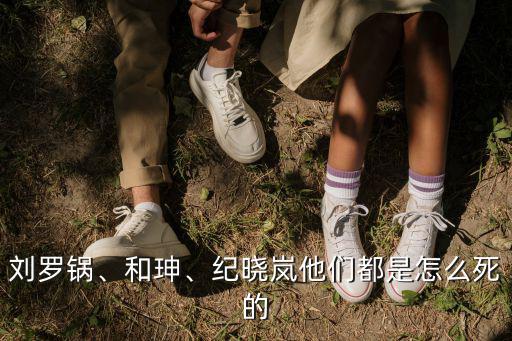 和珅怎么死的,紀(jì)曉嵐和珅怎么死的?