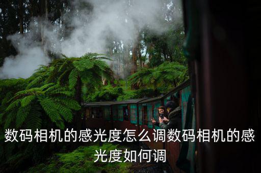 相機感光度,如何調節數碼相機感光度?