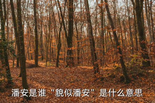潘安是誰(shuí)“貌似潘安”是什么意思