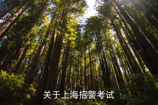 關于上海招警考試