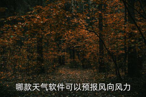 預(yù)報(bào)風(fēng)速比較準(zhǔn)確的軟件，哪款天氣軟件可以預(yù)報(bào)風(fēng)向風(fēng)力