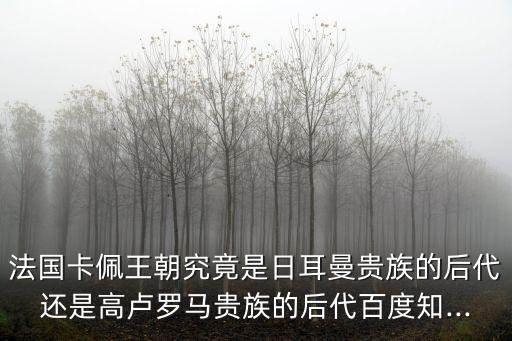 法國卡佩王朝究竟是日耳曼貴族的后代還是高盧羅馬貴族的后代百度知...