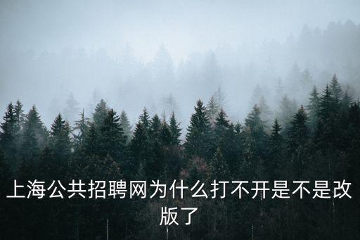 上海公共招聘網為什么打不開是不是改版了