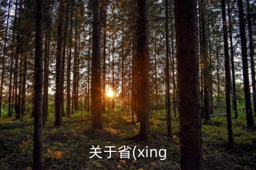 關(guān)于省(xing