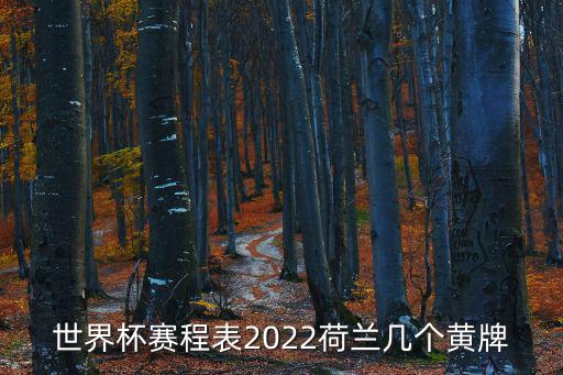 世界杯賽程表2022荷蘭幾個黃牌