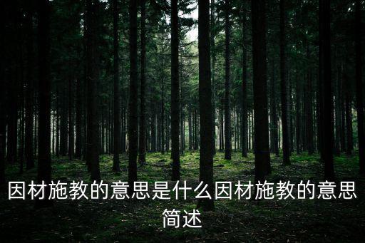 因材施教的意思是什么因材施教的意思簡述