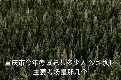 重慶市今年考試總共多少人 沙坪壩區(qū)主要考場是那幾個