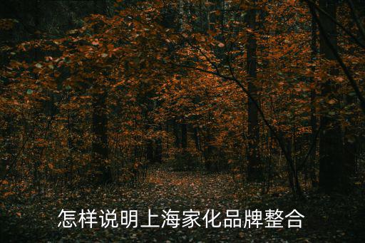 怎樣說明上海家化品牌整合