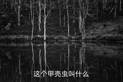 獨角仙怎么畫,獨角仙出沒日本森林被捉當寵物日本學生也迷戀