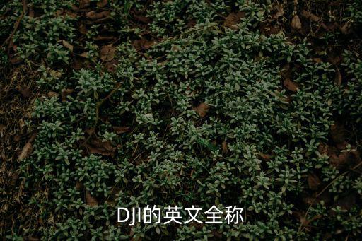 DJI的英文全稱