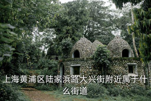 上海市黃浦區(qū)陸家，上海黃浦區(qū)陸家浜路大興街附近屬于什么街道
