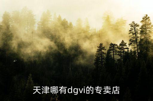 天津哪有dgvi的專賣店