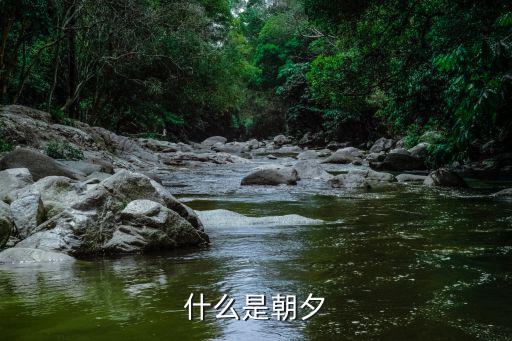 什么是朝夕
