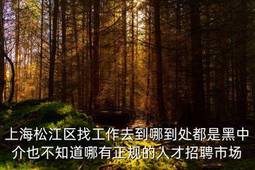 上海松江區找工作去到哪到處都是黑中介也不知道哪有正規的人才招聘市場
