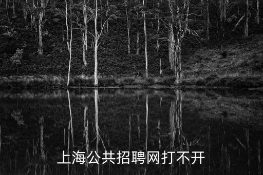 上海公共招聘網打不開