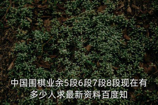 中國圍棋業余5段6段7段8段現在有多少人求最新資料百度知