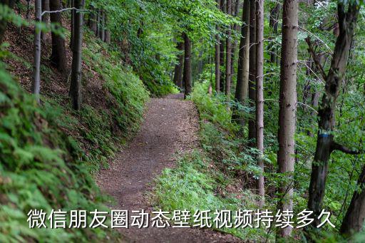 微信朋友圈動態(tài)壁紙視頻持續(xù)多久