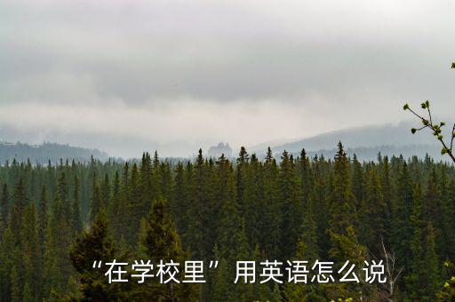 在學(xué)校的英語,新傳媒5頻道播出第二場選區(qū)競選廣播