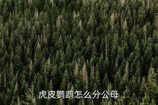 虎皮鸚鵡怎么分公母,怎么分黃虎皮鸚鵡公母?看圖說明!