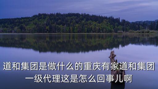 道和集團(tuán)是做什么的重慶有家道和集團(tuán)一級(jí)代理這是怎么回事兒啊
