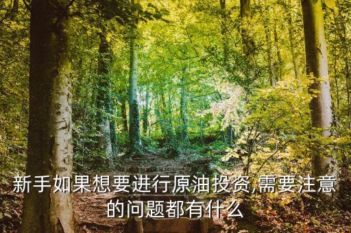 新手如果想要進(jìn)行原油投資,需要注意的問題都有什么