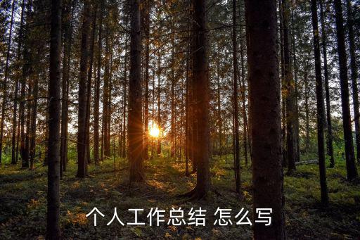 個人工作小結，個人工作總結范文