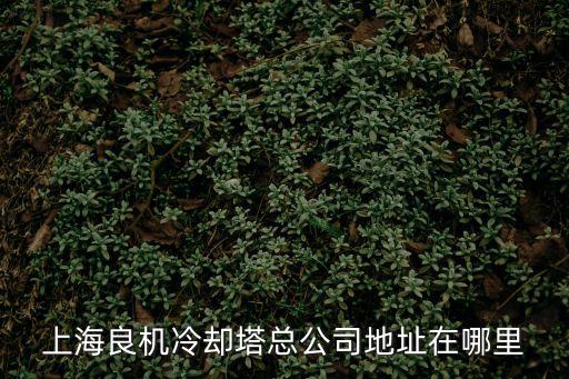 上海市車墩鎮良機廠是做什么的，大家認識哇
