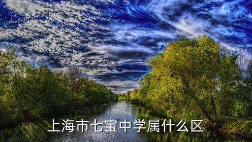 上海市七寶中學(xué) 王鴿，上海市七寶中學(xué)2016年高考大學(xué)錄取復(fù)旦多少人