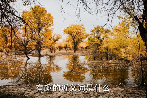 有趣的近義詞是什么