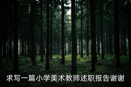 求寫一篇小學美術教師述職報告謝謝