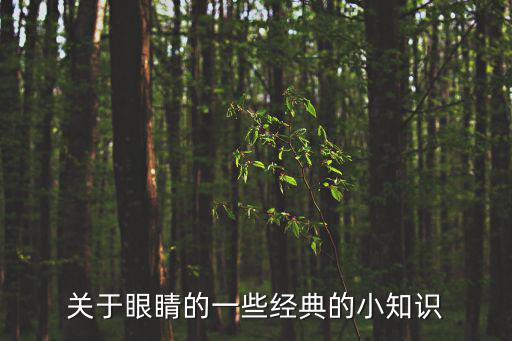 關(guān)于眼睛的一些經(jīng)典的小知識
