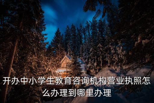 開辦中小學生教育咨詢機構營業執照怎么辦理到哪里辦理