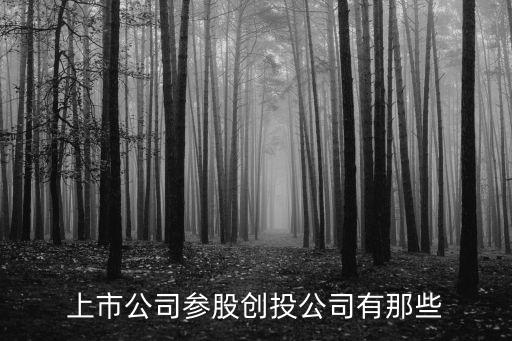 上市公司參股創投公司有那些